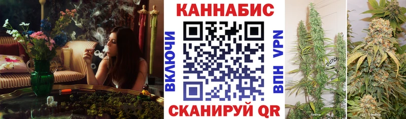 ОМГ ОМГ ссылки  Каргополь  Марихуана гибрид 